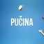 Pucina