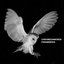 PARAMNESIA