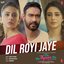 Dil Royi Jaye (From "De De Pyaar De")