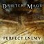 Perfect Enemy