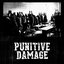 Punitive Damage