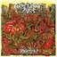 Tomatized [Explicit]
