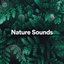 Nature Sounds