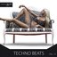 Techno Beats, Vol. 13