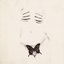 Butterfly - Single