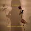 A Night Without Shakespeare - EP