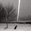 Dry Rot [Explicit]