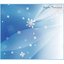 牡丹雪の降る街