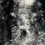 ... In the Absence of Light