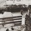 Patterns - Single