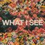 What I See (feat. Chris Brown)