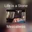 Life is a Stone