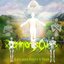 Luminous Bodies of Truth