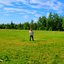 Fields [Explicit]