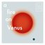 A Fire on Venus