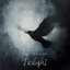 Twilight