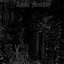 Aphotic Mentality