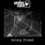 Solely Friend