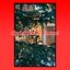 Christmas Tunes
