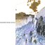 bloodstained snow