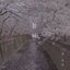 Spring Rain