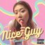Nice Guy