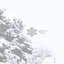 Deck the Halls (feat. Ruelle) - Single