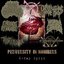 Perversity In Numbers (6-Way Split) [Demo] - Single