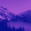 shades of purple