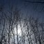 03; Winter Solace