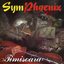 SymPhoenix - Timisoara