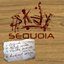 Sequoia