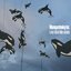 A Sky Full Of Killer Whales