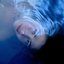 Comme De L'eau
