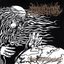 Void Of Disharmony