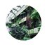 Similar Steps EP