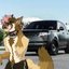 I Got Hit By a Range Rover In Fursuit - Single