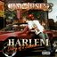 Harlem: Diary of a Summer