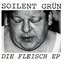 Die Fleisch EP