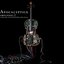 Amplified-A Decade Of Reinventing The Cello Disc 2