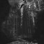Alone With Ghosts