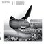 LACK 019