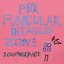 PBX Funicular Intaglio Zone [Bonus Tracks]