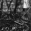 Sap House - EP