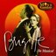 Brigitte de Musical