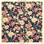 breeder EP
