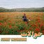 Hawalat (Habibi Funk 030)