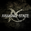 Avatar for awakingstate