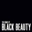 Black Beauty (The Remix EP)