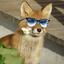 Avatar for ElhananBY